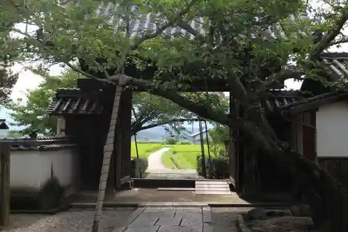 橘寺の山門