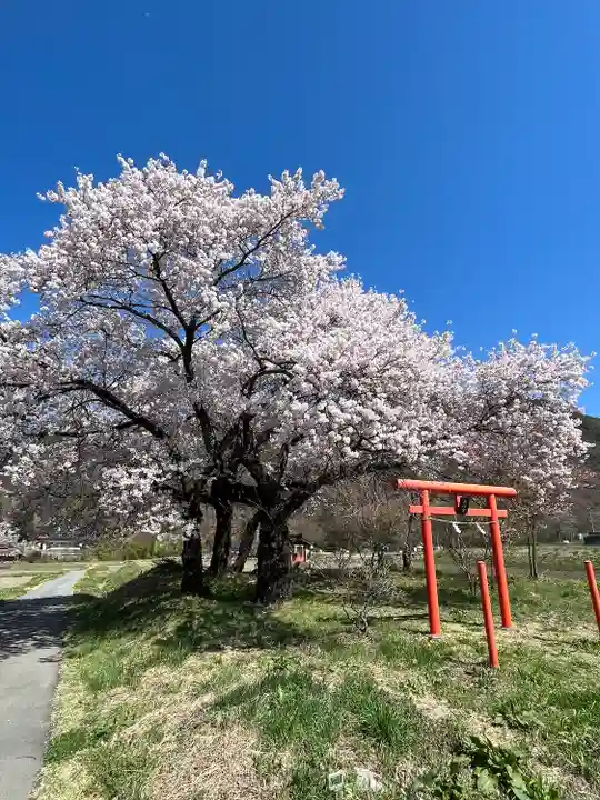 天神宮(伝河原氏屋敷跡)の自然