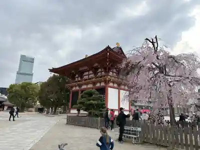 四天王寺(大阪府)