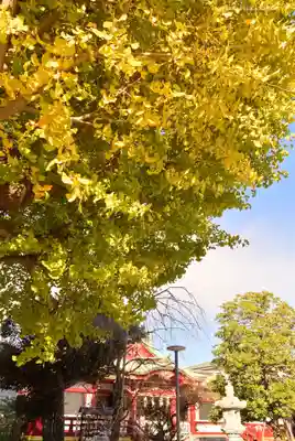 潮田神社(神奈川県)