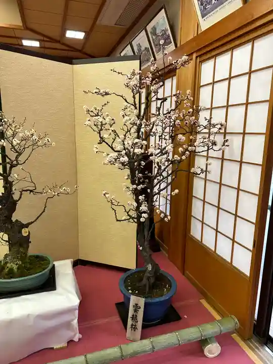 菅原天満宮(菅原神社)(奈良県)