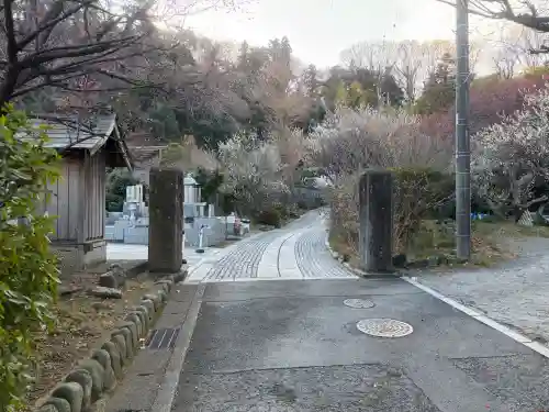 貞宗寺の{uncategorized: "未分類", other: "その他", undefined: "問題あり", building: "その他建物", grave: "お墓", sacred_gate: "鳥居", guardian: "狛犬", statue: "像", buddha: "仏像", history: "歴史", nature: "自然", garden: "庭園", animal: "動物", pagoda: "塔", temizu: "手水舎", mountain_gate: "山門・神門", sanctuary: "本殿・本堂", subordinate: "末社・摂社", art: "芸術", scenery: "景色", jizo: "地蔵", ema: "絵馬", goshuin: "御朱印", omikuji: "おみくじ", items: "授与品その他", amulet: "お守り", goshuincho: "御朱印帳", eats: "食事", festival: "お祭り", votive_dance: "神楽", shichigosan: "七五三参", wedding: "結婚式", experience: "体験その他", initially: "初詣", around: "周辺", anti_infection: "感染症対策"}