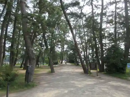 天橋立神社(京都府)