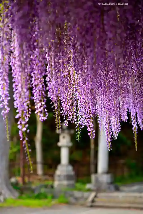 日吉神社(東京都)