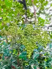 日先神社の自然