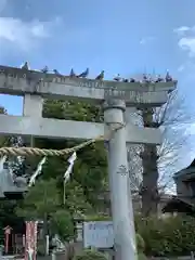 今市報徳二宮神社の動物