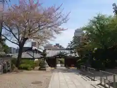 護国寺の山門