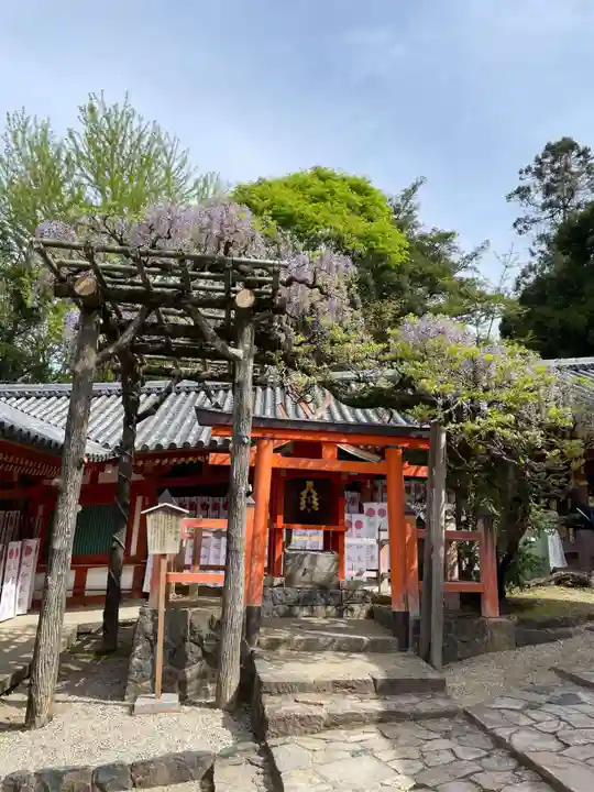 春日大社(奈良県)