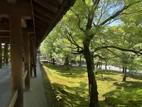 東福禅寺（東福寺）(京都府)