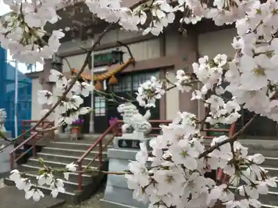 春日神社の本殿・本堂