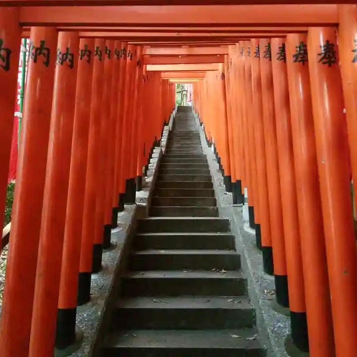 日枝神社の鳥居
