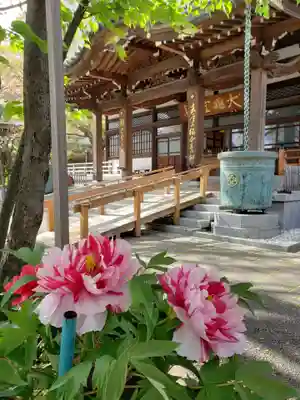 成願寺(東京都)