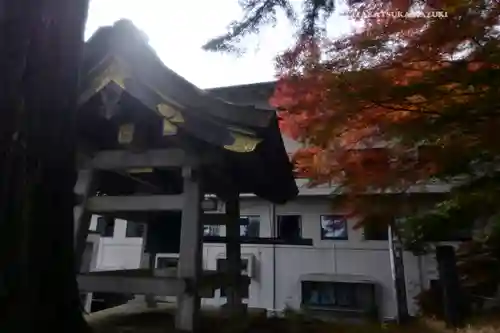 三峯神社(埼玉県)