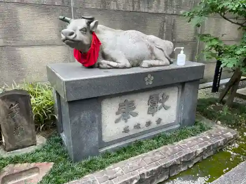 櫻天神社の狛犬