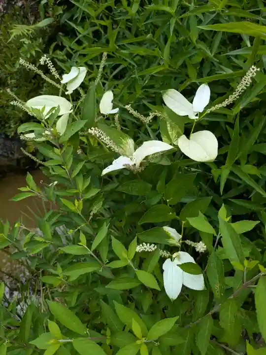 長楽寺(静岡県)
