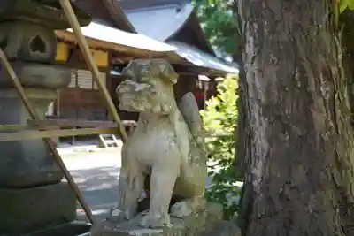 蠶養國神社の狛犬