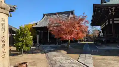 妙顯寺（妙顕寺）(京都府)