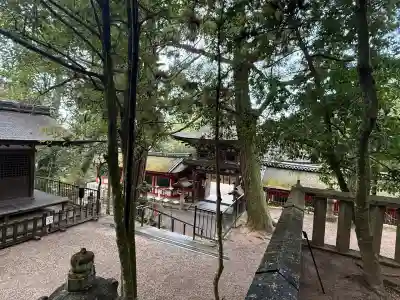 石上神宮(奈良県)