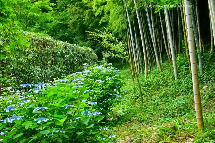 長壽寺(長寿寺)(神奈川県)