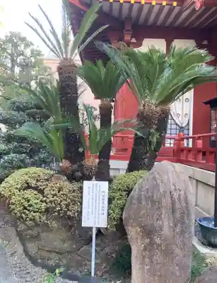 藤次寺(大阪府)