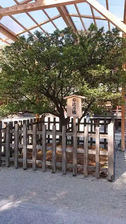 白峯神宮の庭園