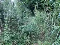 秋葉神社の自然