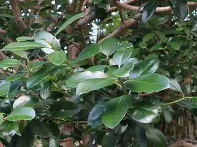 法起院(奈良県)