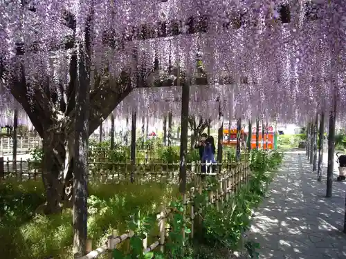 玉敷神社の自然