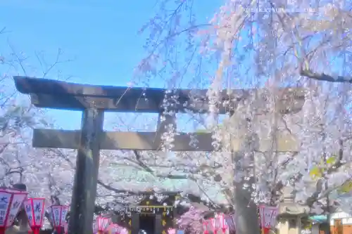日枝神社(静岡県)