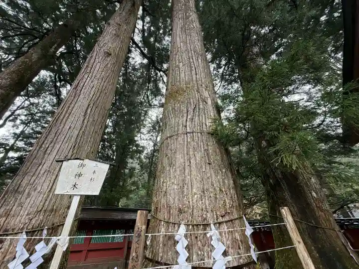 日光二荒山神社(栃木県)