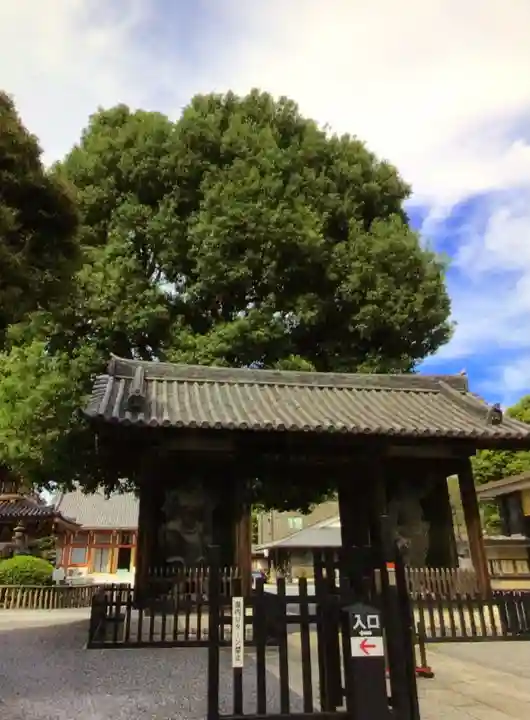宝仙寺(東京都)