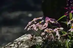 熊野福藏神社の手水