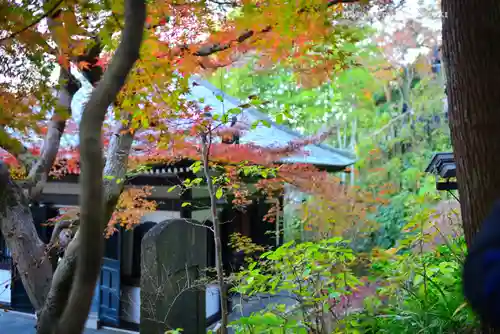 長谷寺(神奈川県)