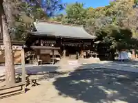 平塚八幡宮の本殿・本堂