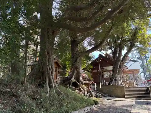塚崎神明社(千葉県)