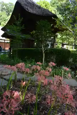 横浜　西方寺(神奈川県)