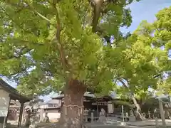 華表神社(大阪府)