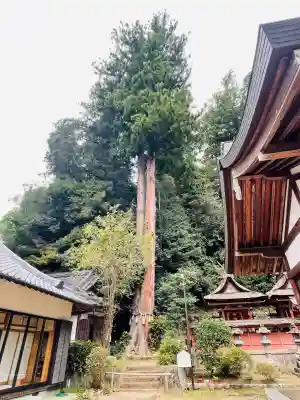 宇太水分神社（中社）(奈良県)