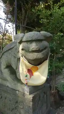 菊田神社の狛犬