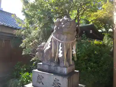 堀越神社の狛犬