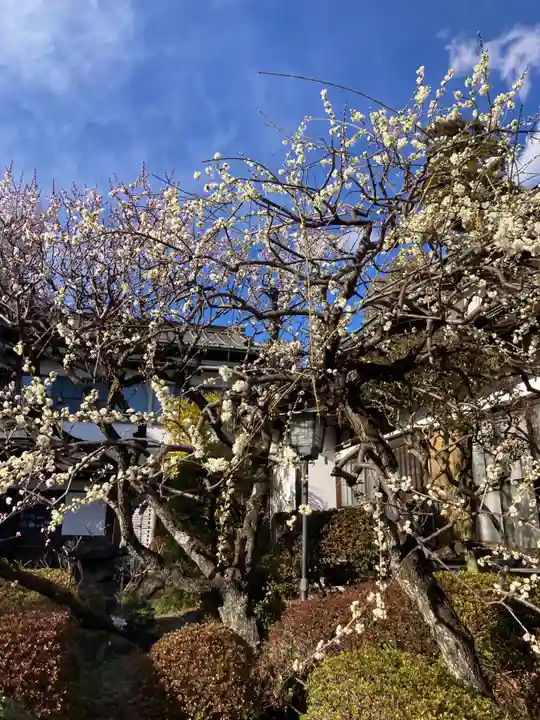 瑞雲寺(神奈川県)