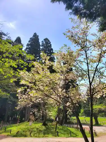 磐椅神社の自然