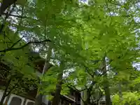 永平寺(福井県)