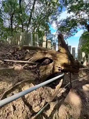 岩上神社(兵庫県)