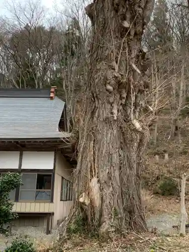 壽徳寺 じゅとくじの自然