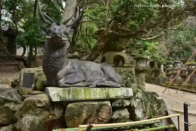 春日大社(奈良県)