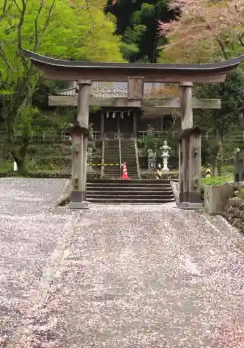 高尾山麓氷川神社の鳥居