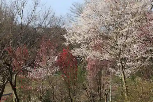 阿久津「田村神社」（郡山市阿久津町）旧社名：伊豆箱根三嶋三社の庭園