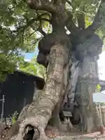 観音寺(愛知県)