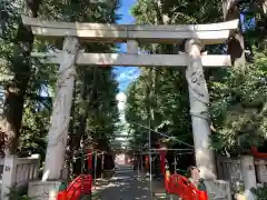 馬橋稲荷神社の鳥居